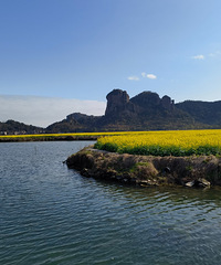 �߽��ҽ�ʮ��侾���ʯ���ҡ����塢���Ƿ���Ͳ˻���