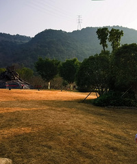 ̨��ֲ��԰������ĸо�ͦ����