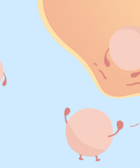 ���ڳԸ�øQ10���Ի��е�����ʲô�ô���