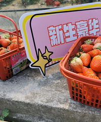 ̨��֮�������������������硱�Լ�Ѳ�λ��EQA�Լ�