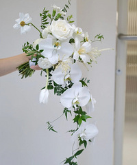 ins����������������������û����ϲ���ģ�