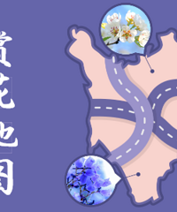 ��2022�ͻ���ͼ������ɹ������ͻ��ص����Ƭ���������