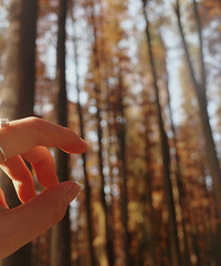 ���������׸�¥���Ը���ף���Ъ�Ի��죬���������