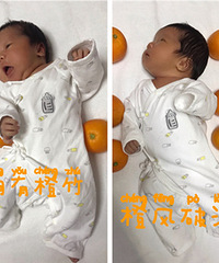 �ڼ�����������