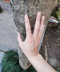 ��ɹ�������ס�һ���������������ƽ�����ģ�