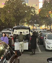 ���ڶ�����ͣ�����ϵ�����ר���������յĳ����о����ⲻ��