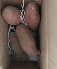 [��ʳ]������ʳ�����˲����ֵ���ʳ