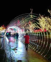 ��Ϫ�ƻ������û��