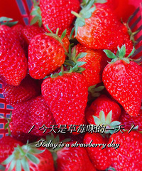 ���������Σ�10��ǰ�����ܳɹ������ھͱ�����....