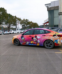 ���������ġ���ȫ����ͨ����ͷ�ʸܸܵ�