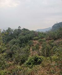 [���״�]�ȸ������ˣ������ɽ�����Ķ���һ��֪��