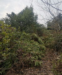 �ȸ������ˣ������ɽ�����Ķ���һ��֪��