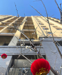 [����]3.8�ţ���ů������ӭ����HD�������С����������