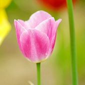 �������䣬���Ǵ���