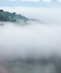 �ƾ�����������