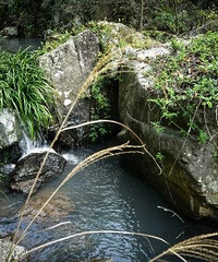 [����]��������񻷵ġ�������Դ����̫Ұ�ˣ�