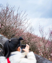 [����]������ȡ���̨�ݸ�����IN���ι��ԣ�