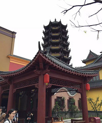 [������һ��Ӫҵ]�꿨�ο��ܱ߳���