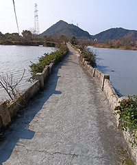 Ѱ��̽��-������