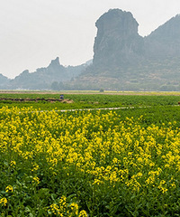 ����Ͳ˻���