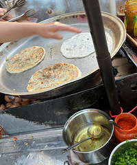 ��������ʳ�ֲݡ��������컨��֮ƽ�ŵ���