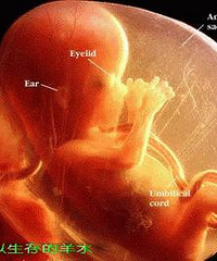 �й�̥����10������֪ʶ�������һ������֪��