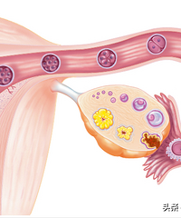 ʲô�Ǵ����ѣ����ִ����ѷ������õ���Ⱥ����