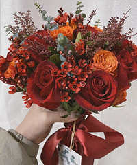 ���ɫϵ������