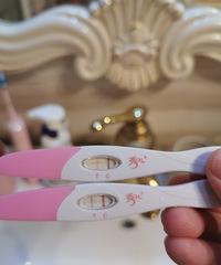 ����һ����������ֽһ�߲����£���һ���¾�����