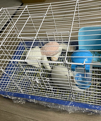 ת��һ�������ӣ�����Ҫ����