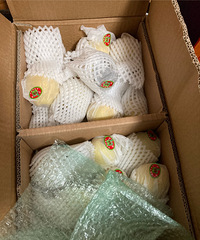 ����������滹û��ʼ�ã�������