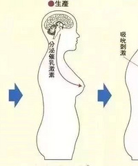 ��ɩ����̸֮��û���������������Ե�ĸ�飬ֻ�����Ŀ��̺�ι��