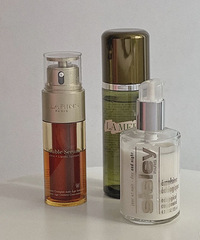 ����������е����ܡ�