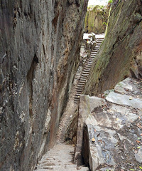 ռNo.62ʱ߻ɽԻȣӥͨ춴