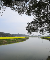 ƬƬ�����۵���