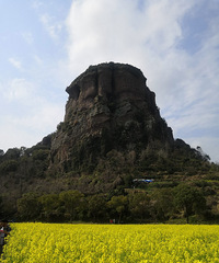 ƬƬ�����۵���