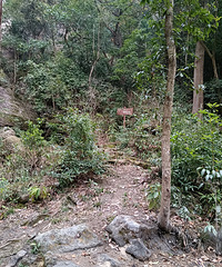 [����]�㵴ɽ֮����ʰ�ţ�������֣��������ҵı�ɫ