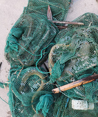 ����һ�ᣬѼ���пڸ��ˣ���Ҳ�о�������