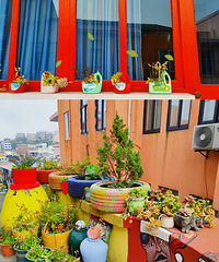 ���߲�С��