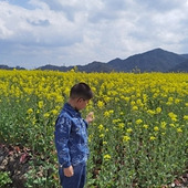 ����Ҳ��һƬ�Ͳ˻�