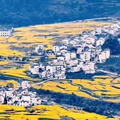 ��Դ�����Ͳ˻�