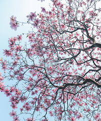 [����]2022�ٺ���������ָ������