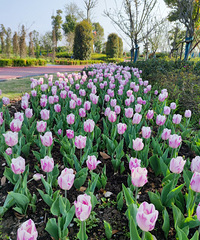 ����������㳡�������㣬һ����Ҫ��������ˣ�������ѽ�