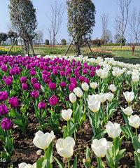 ����������㳡�������㣬һ����Ҫ��������ˣ�������ѽ�