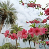 ��������������