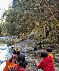 ��������ɽɭ�ֹ�԰��������ŵ�ͽ������