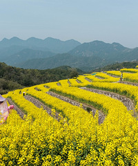 ����ͷ�Ӷ���ͷ�Ͳ˻���