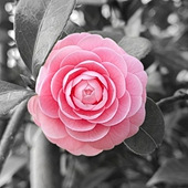 ���ļ���