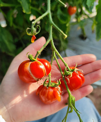 ʥŮ�����Ǯһ��ñ���