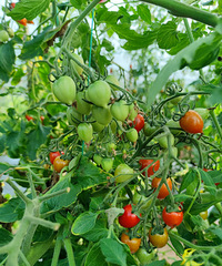 ʥŮ�����Ǯһ��ñ���